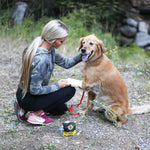 Med Packs™ First Aid Kit for Pets – Dog Injury Supplies in Portable Pouch
