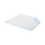 Prevail® Air Permeable Air Permeable Low Air Loss Underpad, 23 x 36 Inch