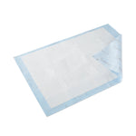 Wings™ Quilted Premium Comfort Maximum Absorbency Positioning Underpad, 23 x 36"