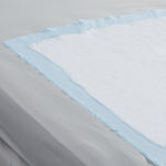 Tena® Regular Underpads, Light Absorbency, Blue, Disposable, 23 x 36 Inch