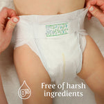 Earth & Eden Sensitive Baby Diapers, Size 3 for Babies Weighing 16 – 28 lbs.
