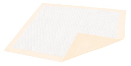 Disposable Underpad Dignity® Premium 30 X 36 Inch Fluff / Polymer Moderate Absorbency