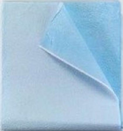 Stretcher Sheet Tidi® Everyday Flat Sheet 40 X 48 Inch Blue Tissue / Poly Disposable