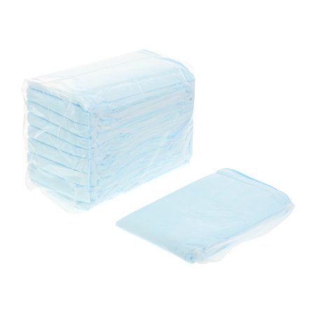 Disposable Underpad Wings™ Plus 23 X 36 Inch Fluff / Polymer Heavy Absorbency