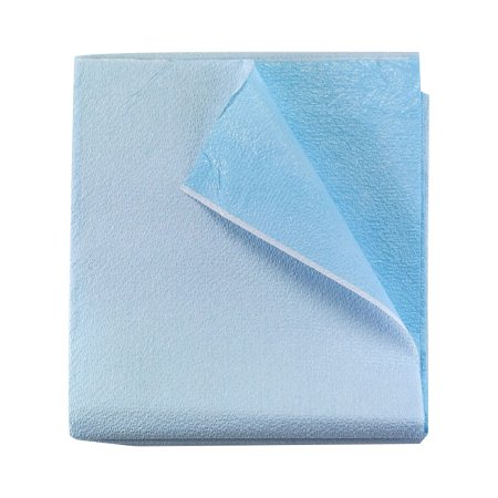 Stretcher Sheet Tidi® Everyday Flat Sheet 40 X 60 Inch Blue Tissue / Polyethylene Film Disposable