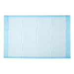 Protection Plus® Disposable Underpads from Medline, 23 Inch x 1 Yard