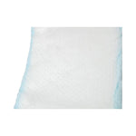 TotalDry™ Moderate Extra Absorbency Bladder Control Pad, 4 x 13 Inch
