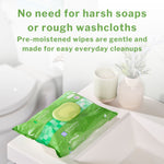 McKesson Flushable* Wet Wipes XL - Unscented, 48 Wipes per Pack