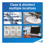 Clorox Pro™ Clean-Up® Disinfectant Cleaner w/ Bleach, 32-ounce spray bottle