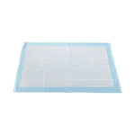 McKesson Classic Plus Light Absorbency Underpads, 23 x 36 Inch