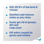 Clorox Pro™ Clorox® Clean-Up® Disinfectant Cleaner with Bleach, Jug, 1 gal.