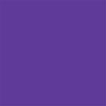 Delta-Lite® Plus Purple Cast Tape, 2 Inch x 4 Yard