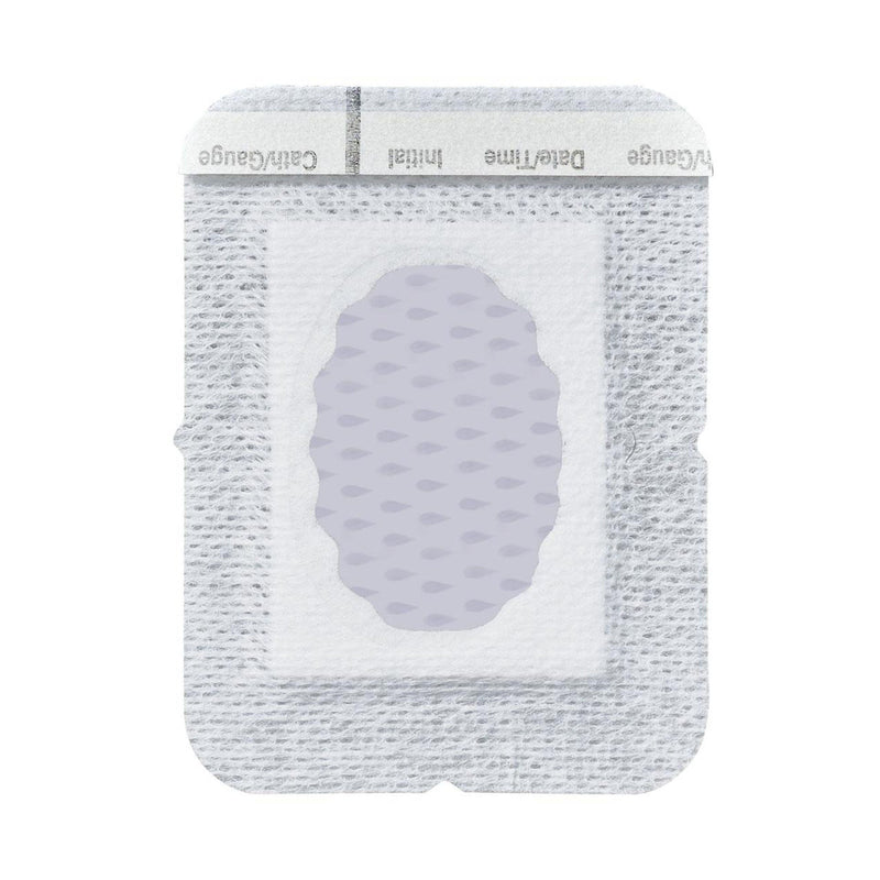 SorbaView® IV Dressing