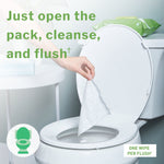 McKesson Flushable* Wet Wipes - Scented, 96 Wet Wipes per Pack