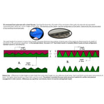 Span America Convoluted Foam Overlay