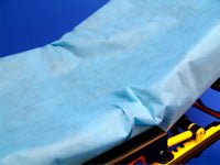 Stretcher Sheet SureFit™ Fitted 30 W X 84 L Inch Light Blue Nonwoven Polypropylene Disposable