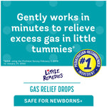 Little Remedies® for Tummys Simethicone Antigas Gas Relief Drops
