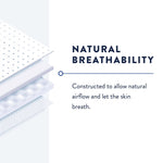 Prevail® Belted Shields Incontinence Belted Undergarment, One Size Fits Most