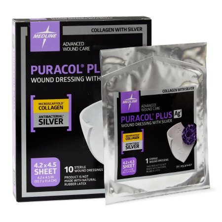Silver Collagen Dressing Puracol® Plus AG+ 4-1/4 X 4-1/2 Inch Square Sterile