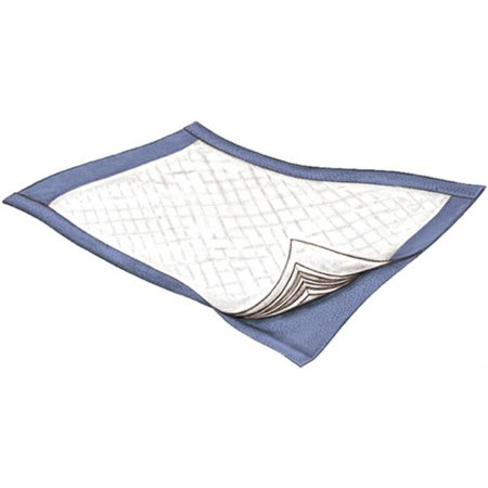Disposable Underpad Passport™ 22 X 35 Inch Polymer Moderate Absorbency